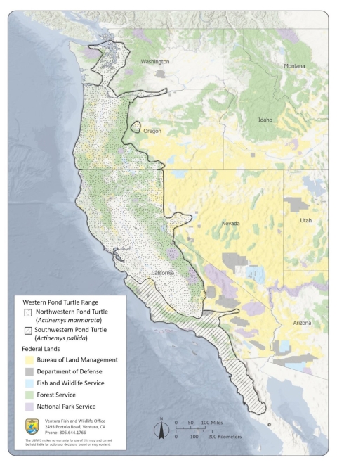 A map depicting the current range of northwestern and southwestern pond turtle and federal land ownership