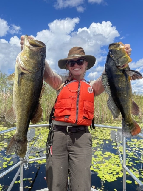 Fish population surveys at A.R.M. Loxahatchee NWR