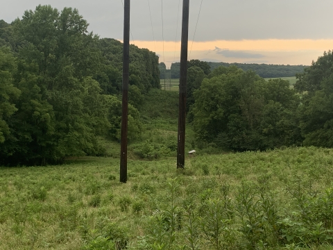 greenery with open area under power lines