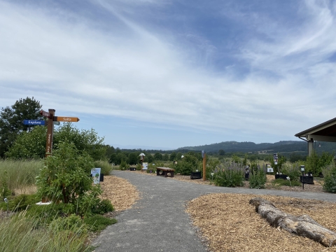 paved trail bordered by flowering plants and interpretive signs