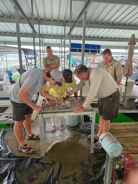 Norfork National Fish Hatchery and Arkansas Game and Fish emplyees sifting through sand in search of mussels.