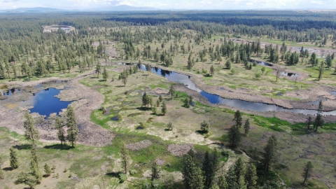 Aerial photograph overlooking the channeled scablands of Turnbull NWR