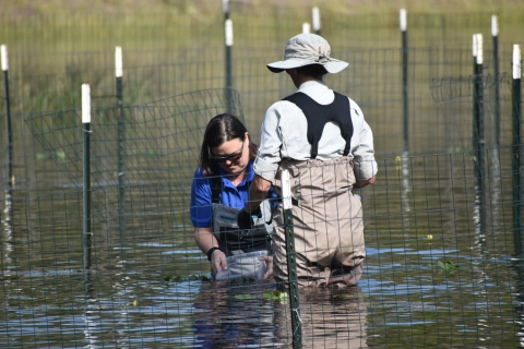 Two people stand in waist deep water