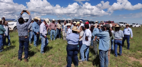 A group of people in a field.