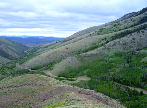 An image of a mountain canyon dotted with sagebrush and pine trees.