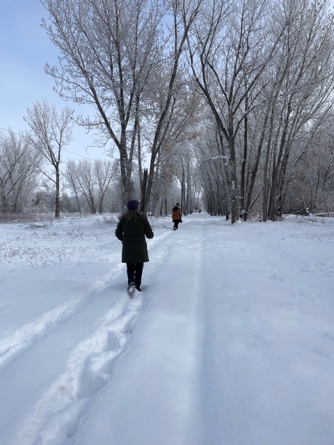 Volunteers identify birds at Ouray NWR during Christmas Bird Count