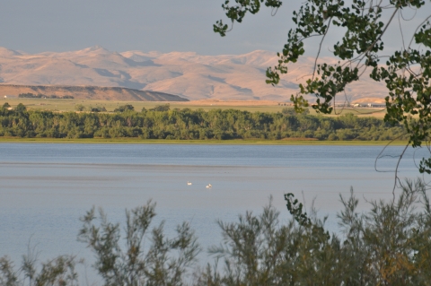 Two distant pelicans in the center of a lake with small mountain formations in the background