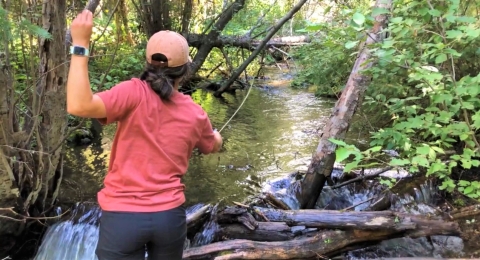 Person casts through trees 