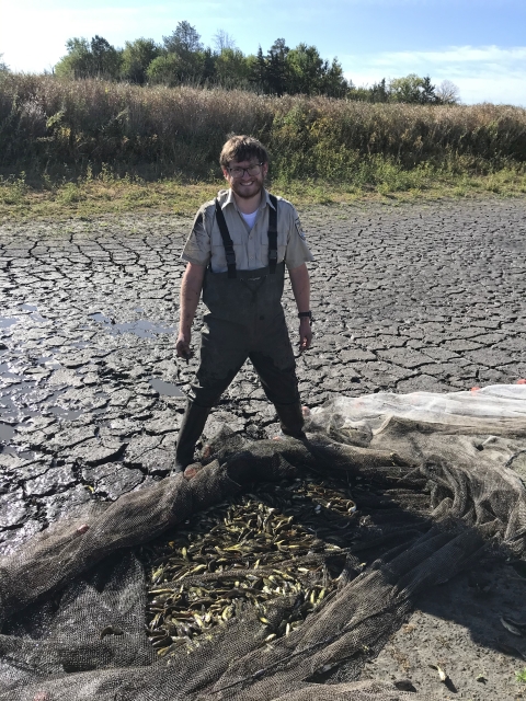 A staff member stands behind a net with many fish