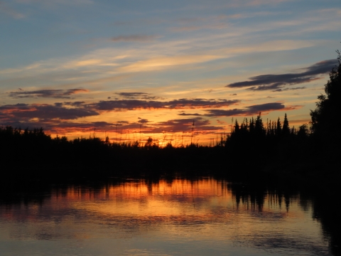 Landscape view of calm water and silhouetted trees with orange and yellow sunrise.