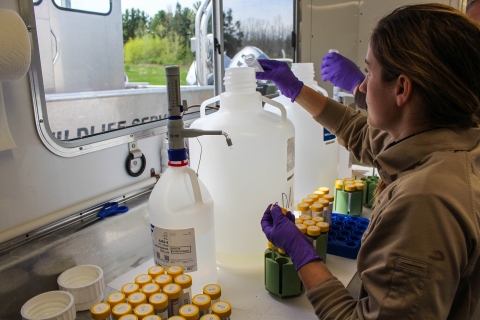 A woman in a Service uniform and purple gloves holds a test tube to a large jug, 