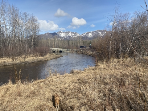 Looking upstream from a distance at two old metal culverts on a road crossing, with mountains in the background.