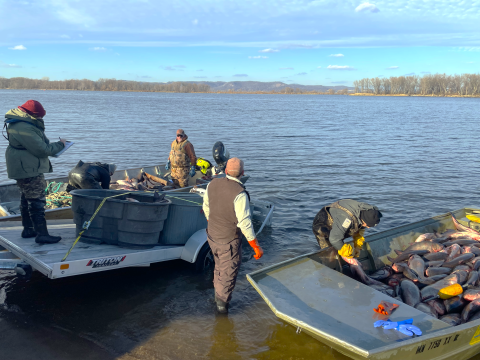 Biologists load boat full of invasive carp onto trailer.