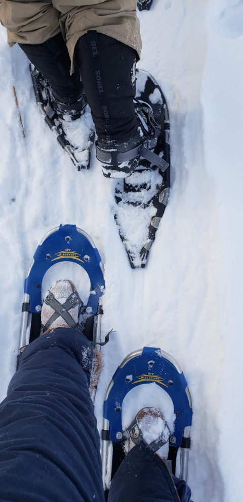 Angled down at the ground we can see the point of view of a person wearing blue snowshoes as they walk in line behind another person in black snowshoes down a snow-covered path.