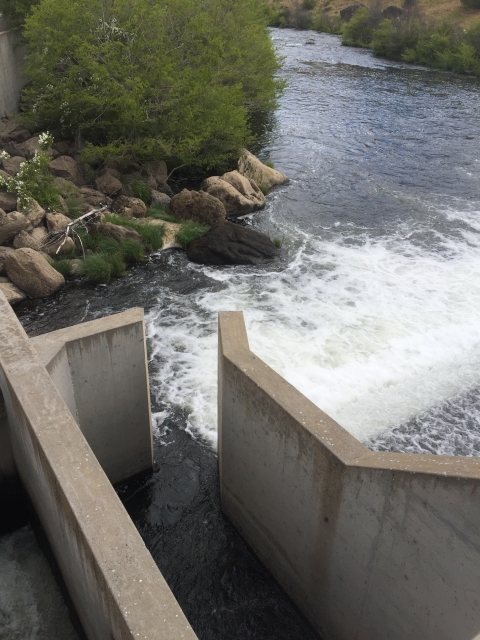 Fish ladder entrance