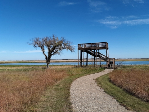 J. Clark Salyer National Wildlife Refuge Observation Tower and Trail