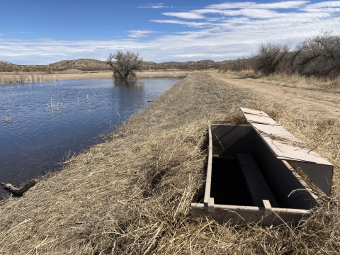 Desert hills, blue sky, leafless tress and wetland in the background with a wooden box hunting blind dug into the grass in the foreground