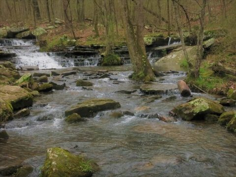 Collins Creek Waterfalls