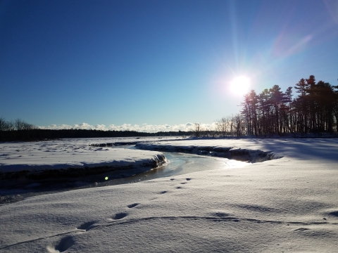 Footprints in the snow to the river that meanders through the salt marsh at Rachel Carson National Wildlife Refuge. The sun hangs low in the sky on the horizon and ice crystals reflect the beams in fractured light.