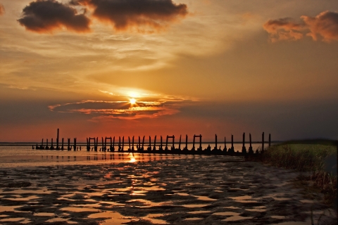 Remains of old pier at sunset