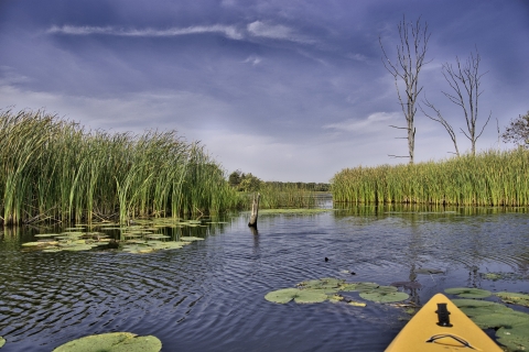 View of the St. Francis River channel from a kayak on a day with blue skies and wispy clouds