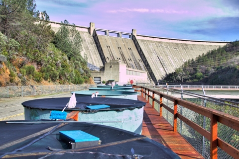 Fish containers at the base of a dam