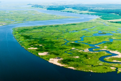 Wetlands buffer communities along the Nanticoke River flowing into Chesapeake Bay