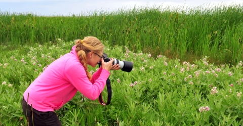 A woman crouching down to take a photo of pinkish wildflowers