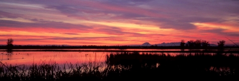 A cloudy, orange sky at dawn over a marsh, with mountains barely visible on the distant horizon