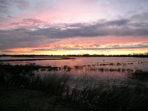 Sunset on seasonal wetland at Stone Lakes National Wildlife Refuge