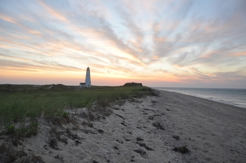 Sandy barrier island beach at sunset with lighthouse in the distance.