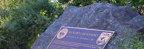 A bronze plaque on a large rock amid green vegetation