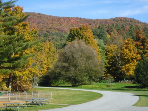 A curved road in a forested area with picnic benches adjacent to it.