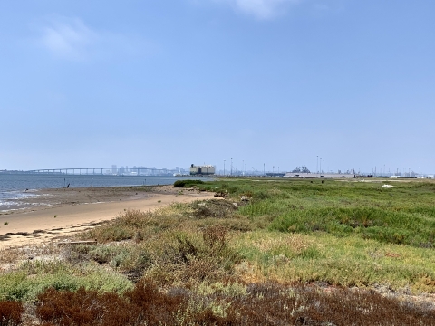 Marsh on the right and San Diego Bay on the left with city of San Diego off in the distance