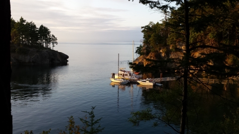 Boats in Rolfe Cove, Matia Island