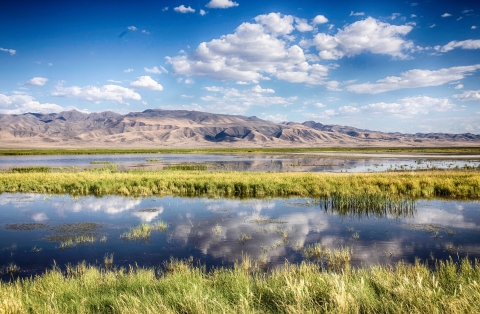 A wetland scene with clouds reflecting in very still water. 