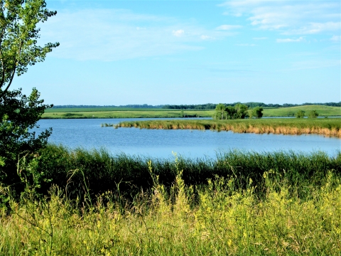 Waterfowl Production Area