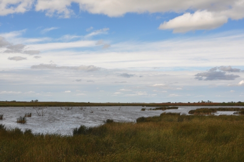 View of Hesby pond at Hamden Slough National Wildlife Refuge.