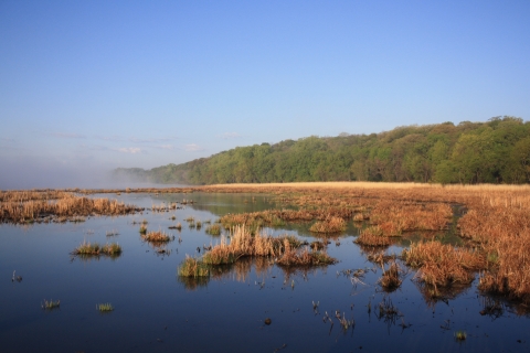 Minnesota River in foreground with brown marsh grasses covered in fog in background.