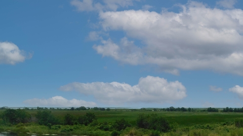 marsh with clouds overhead