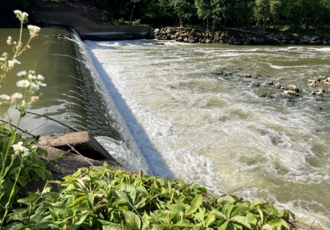 Water cascades about a dozen feet down the dam, which stretches 100 yards across the Green River. A sunny day, with flowers in the shot, and the river is rocky.