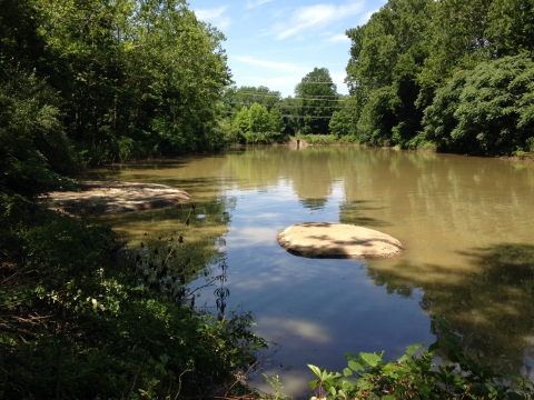 a wide river with dark colored water flows between two heavily forested banks