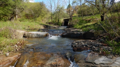 A small stream flows under a bridge in a wooded area.