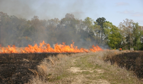 Prescribed burning on Partners for Fish & Wildlife site