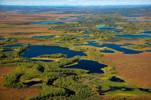 Kanuti Flats aerial view with spotted bodies of water.