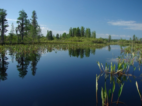 Silky smooth deep blue water surrounded by green trees and vegetation. The trees and vegetation are reflected on the water.