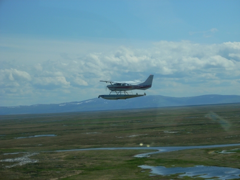 Airplane of floats flying above the tundra of Alaska