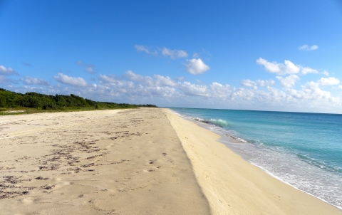 Beach shoreline with a crisp blue ocean waves 