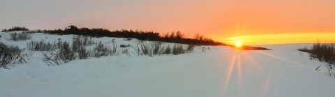 A long view of a snowy field with the bright yellow sun shining just at the horizon