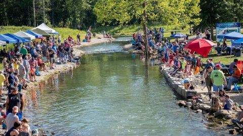 Throngs of people gathered along the banks of a creek